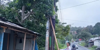  Dinas Perhubungan Kabupaten Pemalang melakukan pemotongan dahan pohon yg menutupi Warning Light di Jalan Randudongkal - Belik. 